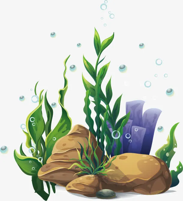 海底植物免抠