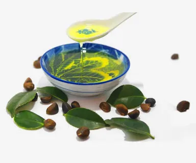 提取茶油免抠 提取茶油免抠
