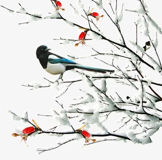 冬至精美雪景树枝插画免抠