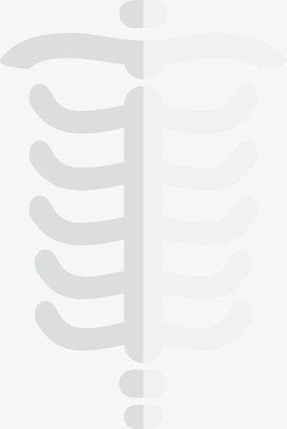 银白色人体肋骨简笔画免抠