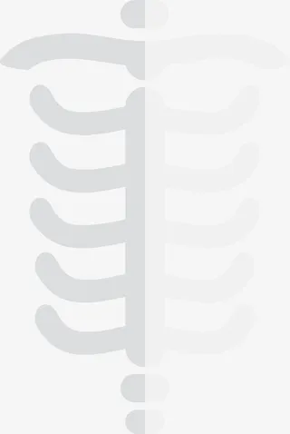 银白色人体肋骨简笔画免抠