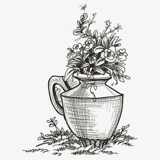 手绘花朵 花朵免抠