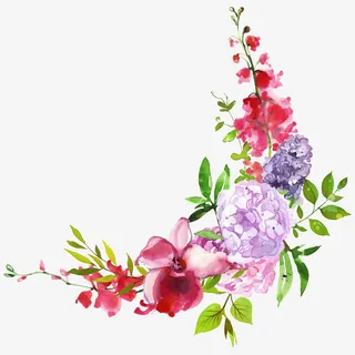 手绘小清新绣球花边框免抠