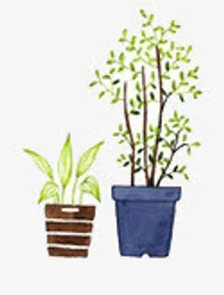 装饰花瓶素材免抠