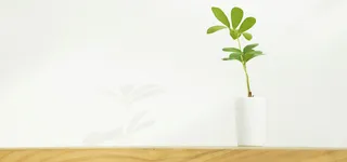 小清新背景海报高清