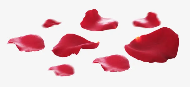 梅树梅花花瓣图片素材免抠