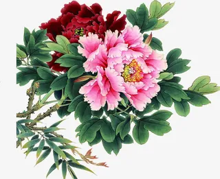 富贵花新年晚会海报免抠