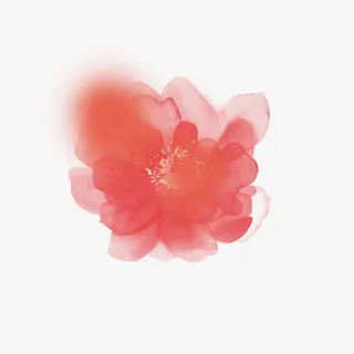 粉色桃花水彩画免抠 粉色桃花水彩画免抠