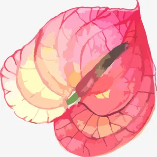 手绘水彩红色花朵免抠