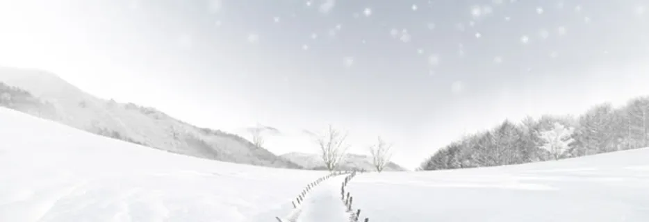 白色冰雪王国海报背景