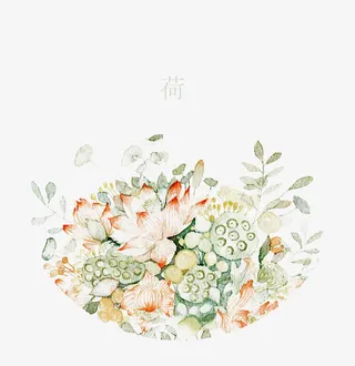 彩绘荷花免抠