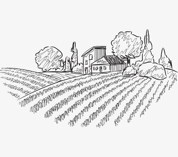 乡村风景素描图免抠