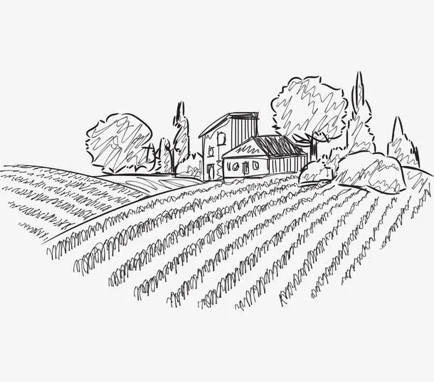 乡村风景素描图免抠