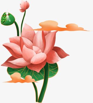 夏至粉色荷花莲藕蜻蜓免抠