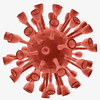 红色癌细胞矢量图免抠 红色癌细胞矢量图免抠