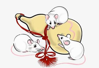 素材老鼠卡通免抠