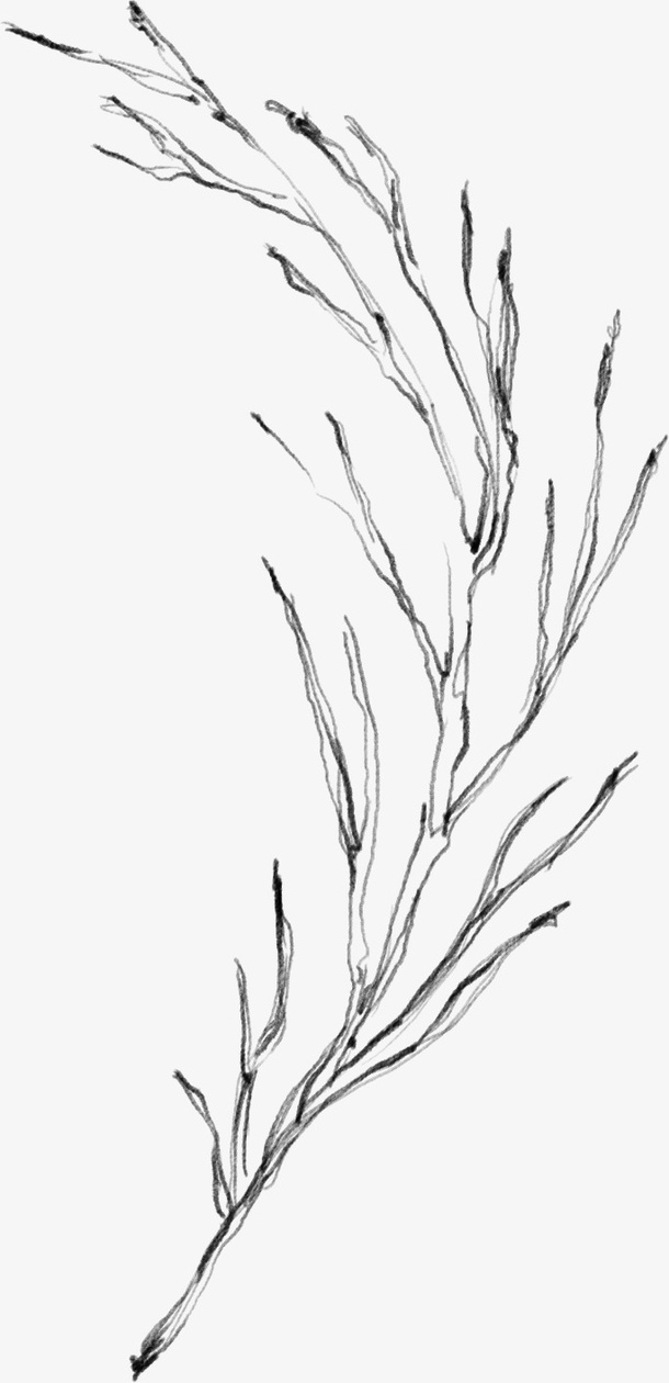 植物元素啊4免抠动植物植物元素