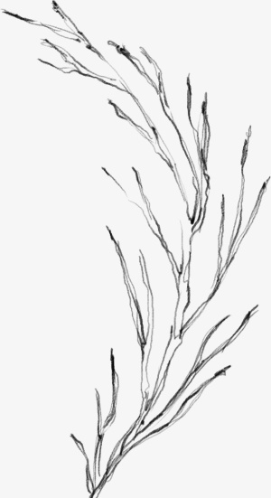 植物元素啊4免抠动植物植物元素