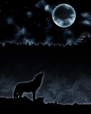 简约大气月夜广告高清