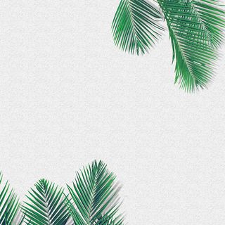 简约清新绿色春季新品主图高清文艺清新背景