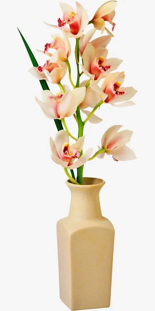 花瓶免抠