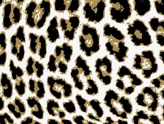 时尚豹纹图案免抠