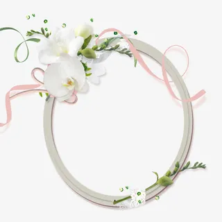 白色花朵 绿色花枝 白色圆边框png素材免抠