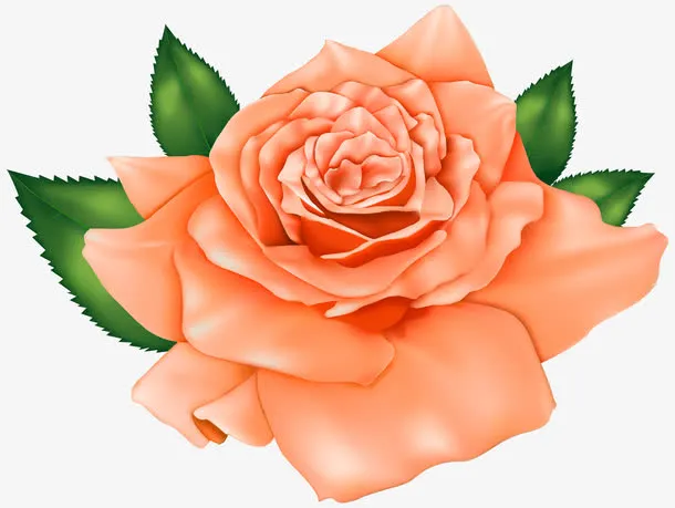 手绘玫瑰花免抠