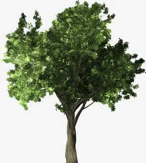 一棵绿色的大树免抠动植物植物元素 一棵绿色的大树免抠动植物植物元素