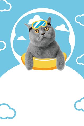 宠物店宣传海报图高清