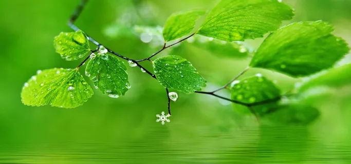 淘宝背景图高清