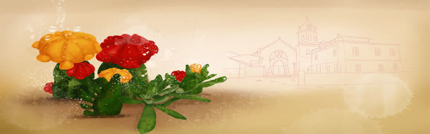 花瓣背景图