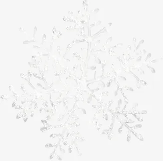 一片雪花结晶免抠