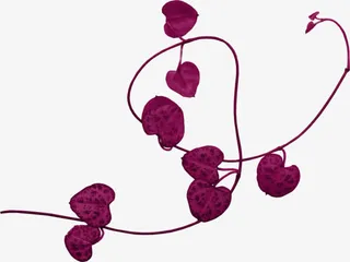 暗红绳索漂浮免抠