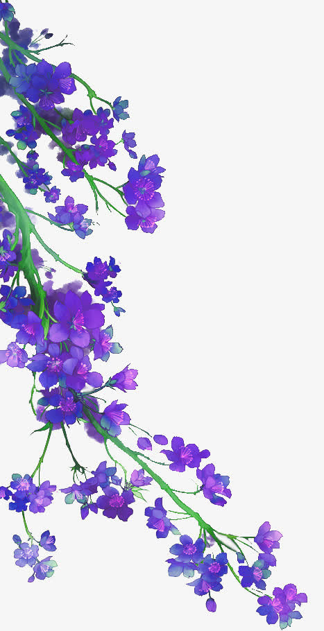 紫花免抠