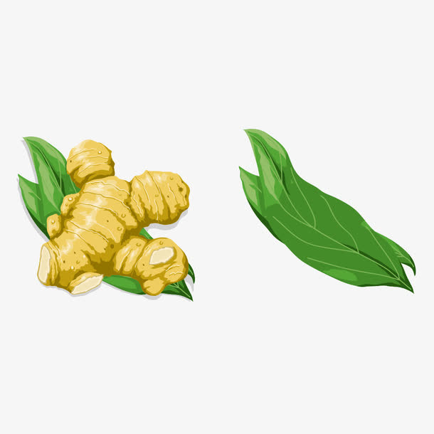生姜素材免抠