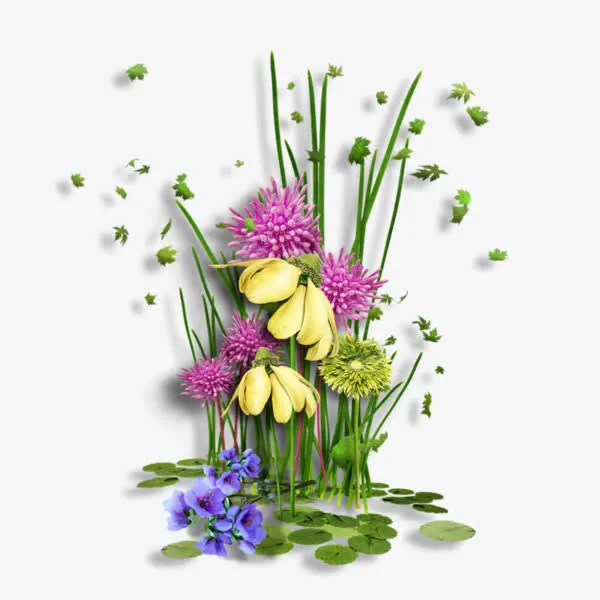 蓝色花 兰花叶子 黄色花朵png素材免抠