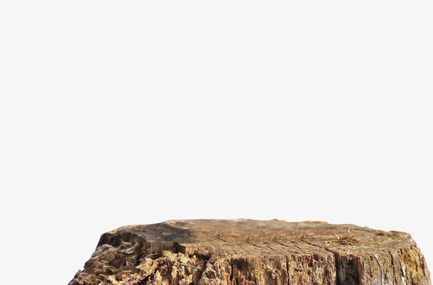 褐色木桩截面免抠