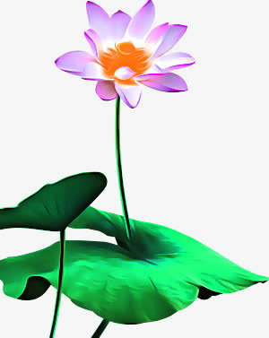 荷花免抠