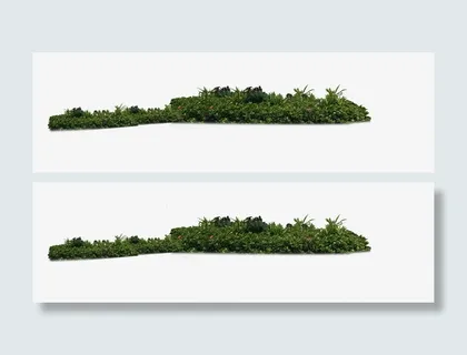 别墅花草远处角度免抠