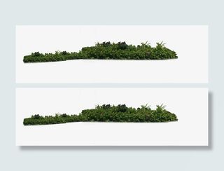 别墅花草远处角度免抠