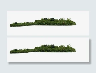 别墅花草远处角度免抠