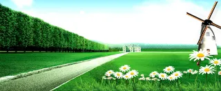 公园草地背景图高清