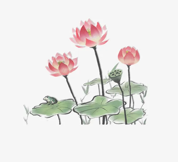 中国风水墨画荷花荷叶免抠