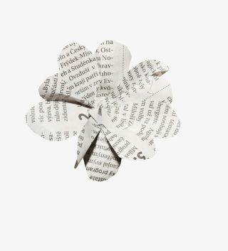 花朵图片素材花朵图片免抠