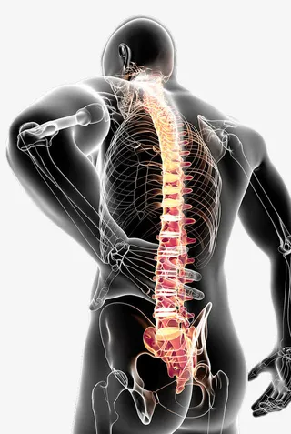 腰椎疼痛图片免抠