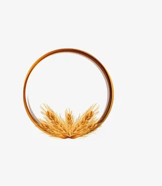 创意麦穗素材免抠