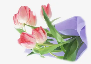 手绘艺术红色康乃馨免抠