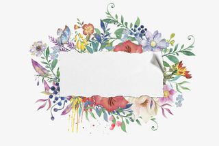 花卉边框免抠装饰其他装饰图案元素