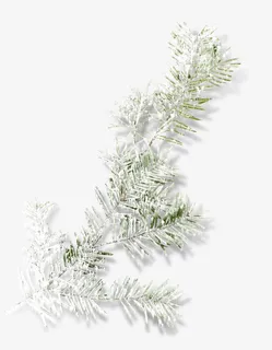 挂雪松树枝免抠 挂雪松树枝免抠
